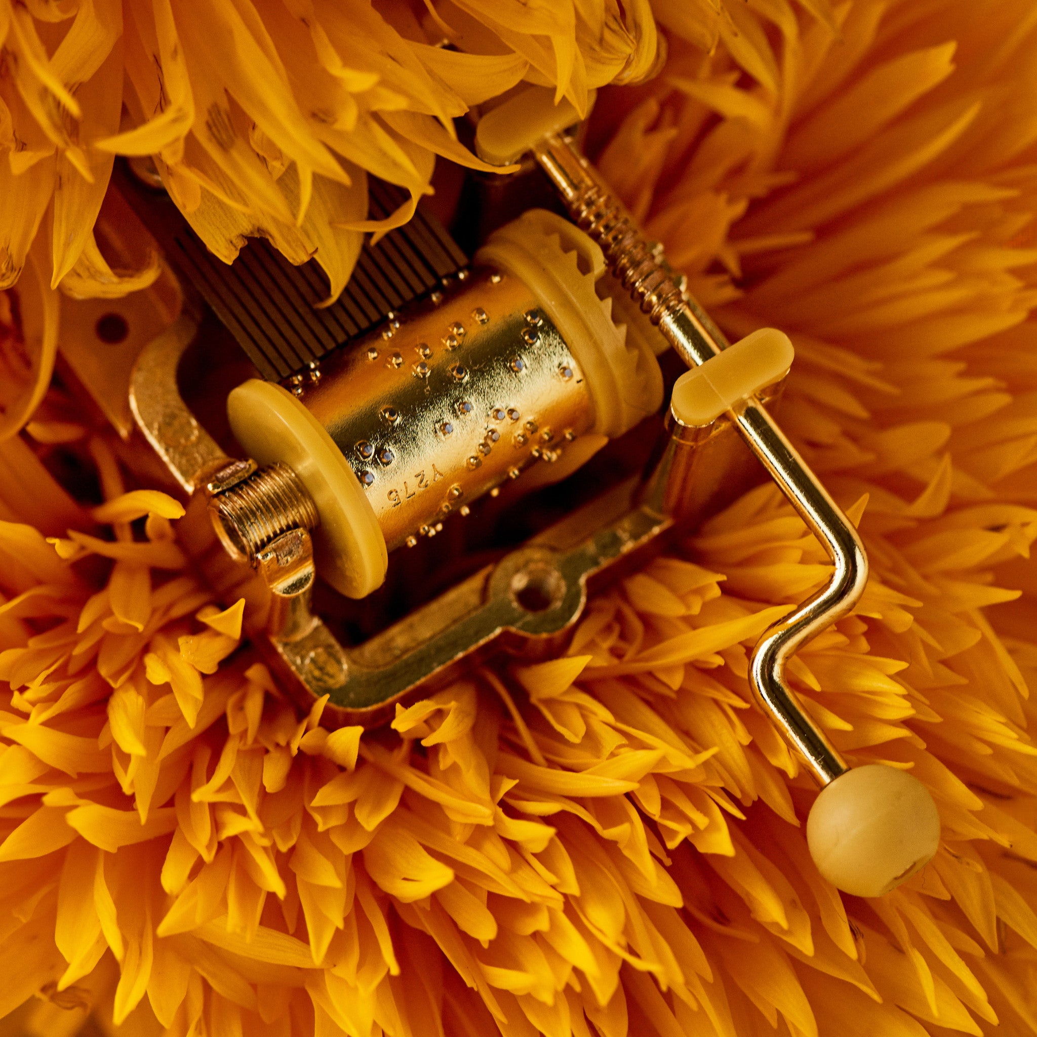 Spin me around Music Box - 'Here comes the Sun